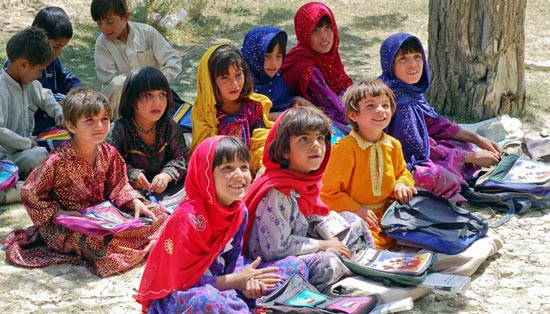 在线手机号轰炸机